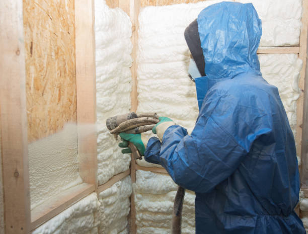 Best Wall Insulation Installation  in Lake Helen, FL